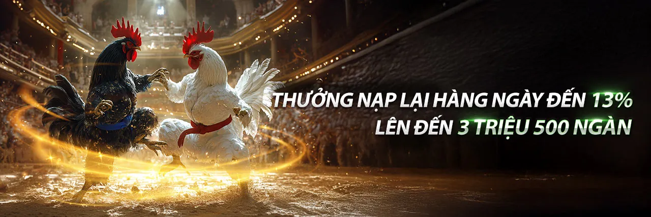 Đá gà trực tuyến hấp dẫn tại bi88 trang chủ 2026